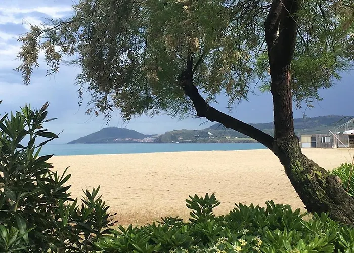Les Pins Canet-en-Roussillon
