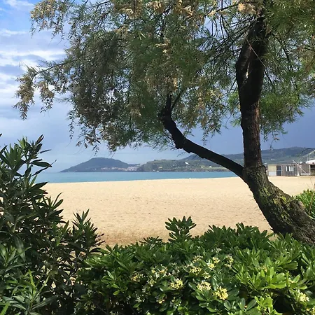 Les Pins Canet-en-Roussillon